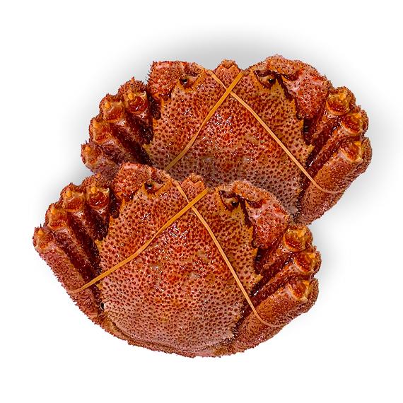 ^ǐgꔲQȃIz[cNY{CъI 2tZbg