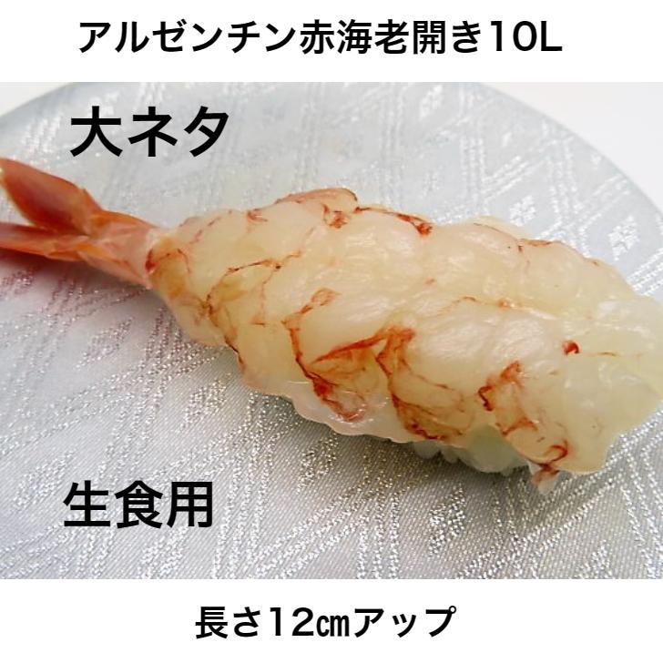 ԊCV 20 il^ 9L ԃGrJ(11) ˂ ̂邾 Hp  AJGr hgp CN l^ 芪i