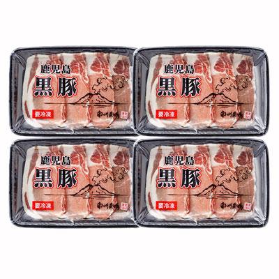 ؃[Xēpi150g~SpbNj