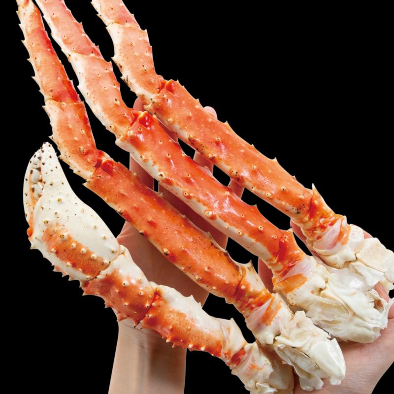 タラバガニ 800g 特大1肩 ボイル タラバ蟹 脚 たらば タラバ かに 蟹 セット タラバガニ脚 訳アリ じゃない 贈答 内祝い ギフト プレゼント お中元 敬老の日 お歳暮 海鮮の商品詳細 商品詳細 C Joy